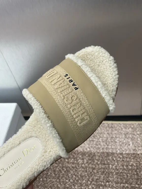 Dior Shoe 